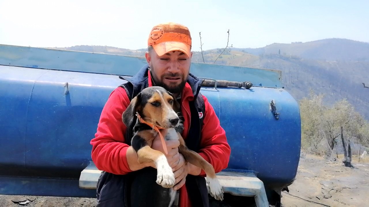 Yangından kurtulan k&ouml;peğine sarılarak ağladı
