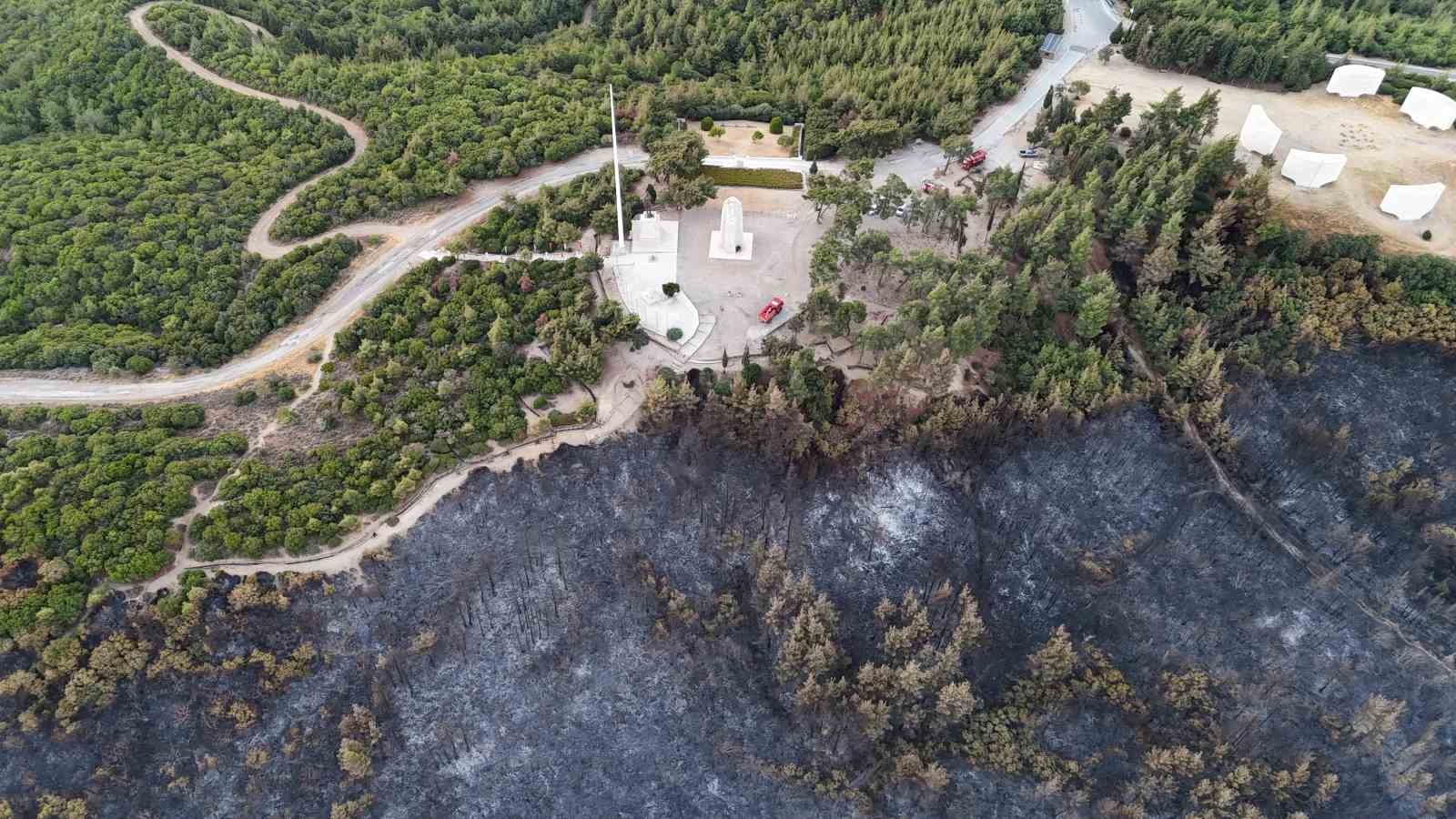 Tarihi Alan’daki orman yangını sonrası Çanakkale Savaşları’ndan kalma top mermisi ortaya çıktı 