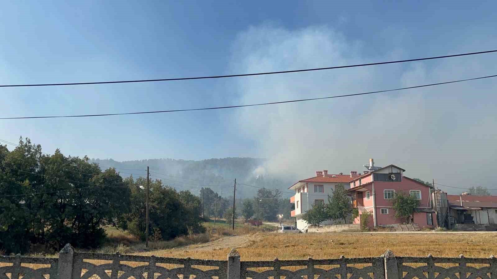 Bolu'daki yangında vatandaşlar gece gündüz tetikte