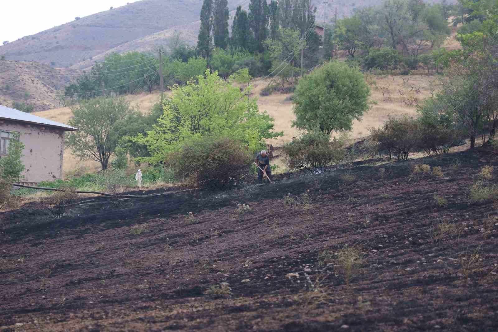 Elazığ’da 200 dönüm alan yangında kül oldu