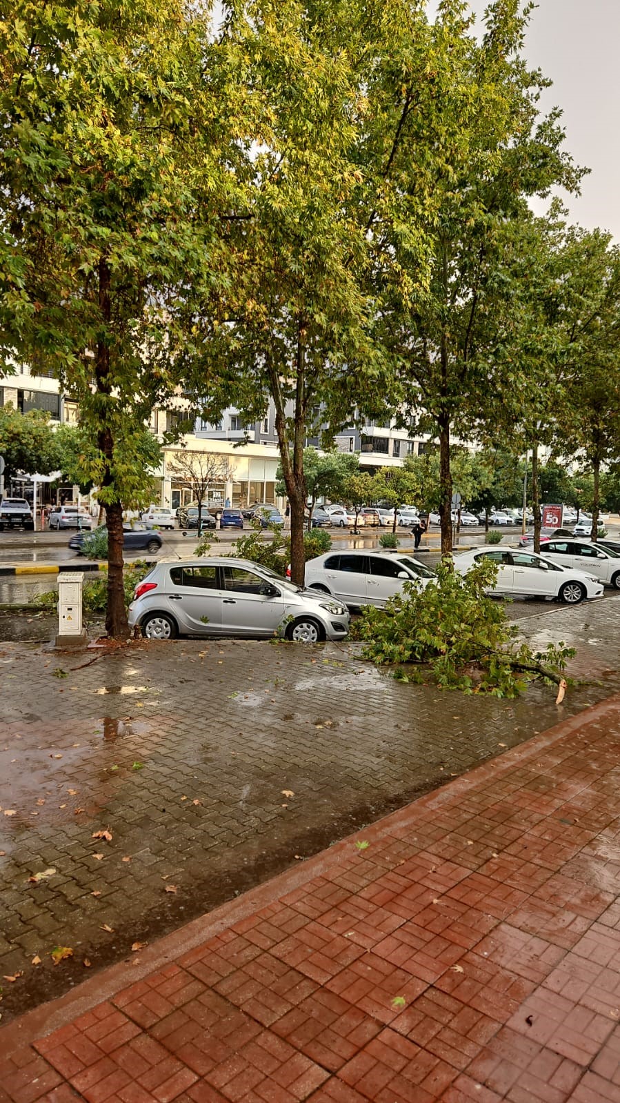 Kavurucu sıcakta Gaziantep yağmur ile serinledi