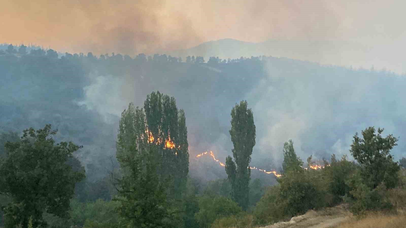 Uşak&rsquo;taki orman yangını nedeniyle Manisa&rsquo;da 1 k&ouml;y boşaltıldı
