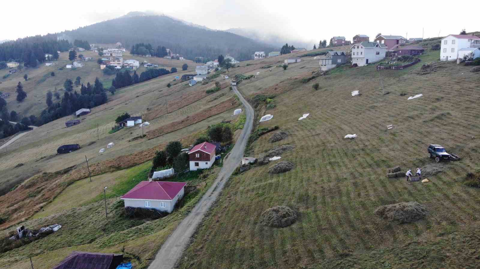 Trabzon’da yaylacıların çayır biçme telaşı