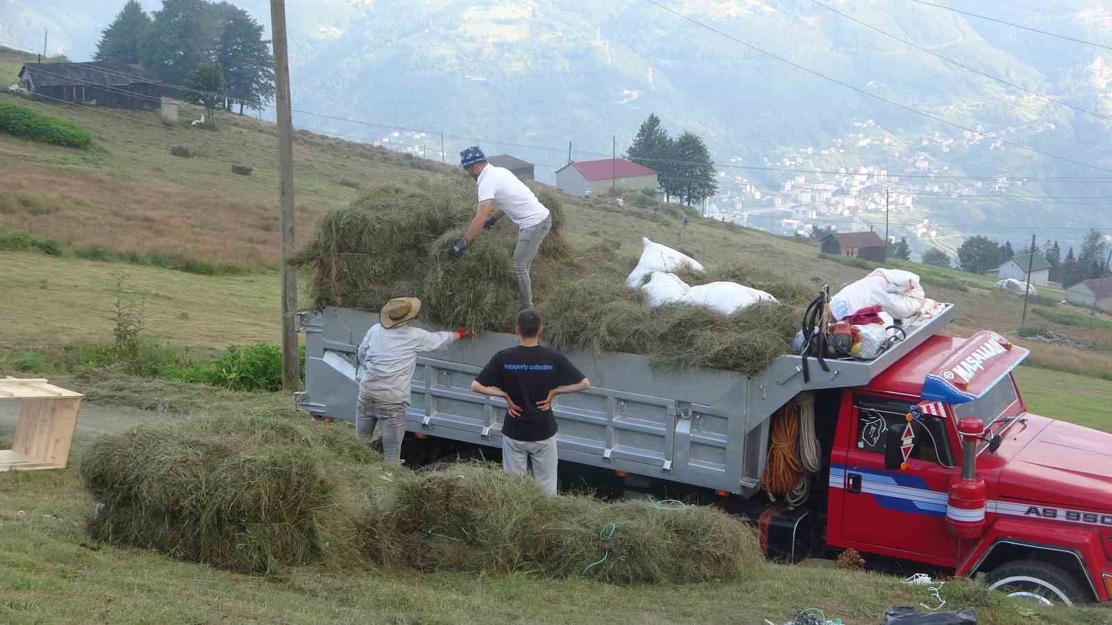 Trabzon’da yaylacıların çayır biçme telaşı
