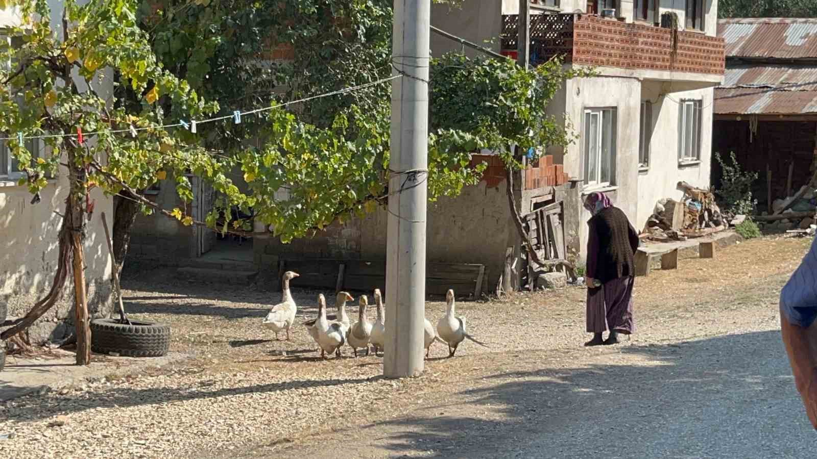 Bolu’da orman yangını kontrol altına alındı, vatandaşlar evlerine dönüyor 