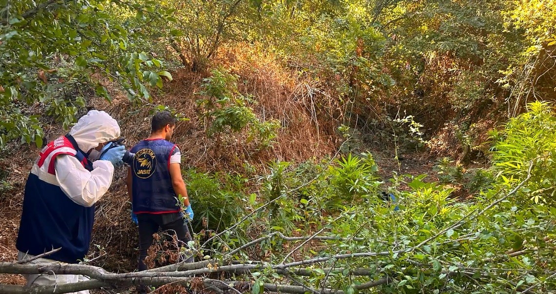 &Ccedil;anakkale&rsquo;de uyuşturucu operasyonu
