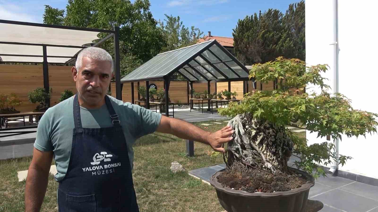 Toprak Dede’nin bonsai koleksiyonu müzede yaşatılıyor
