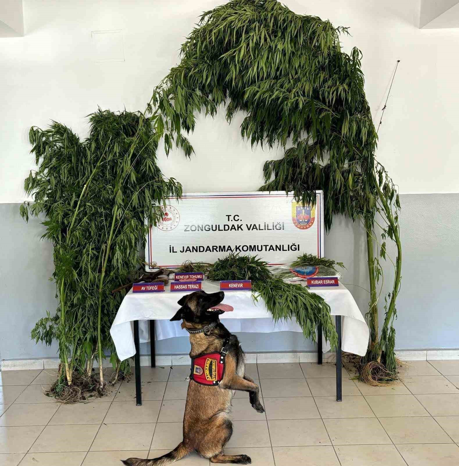 Zonguldak&rsquo;ta jandarma ve polisin denetimleri s&uuml;r&uuml;yor
