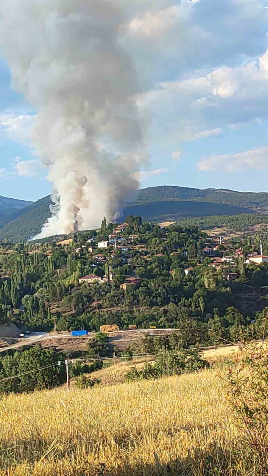 Çankırı’da orman yangını
