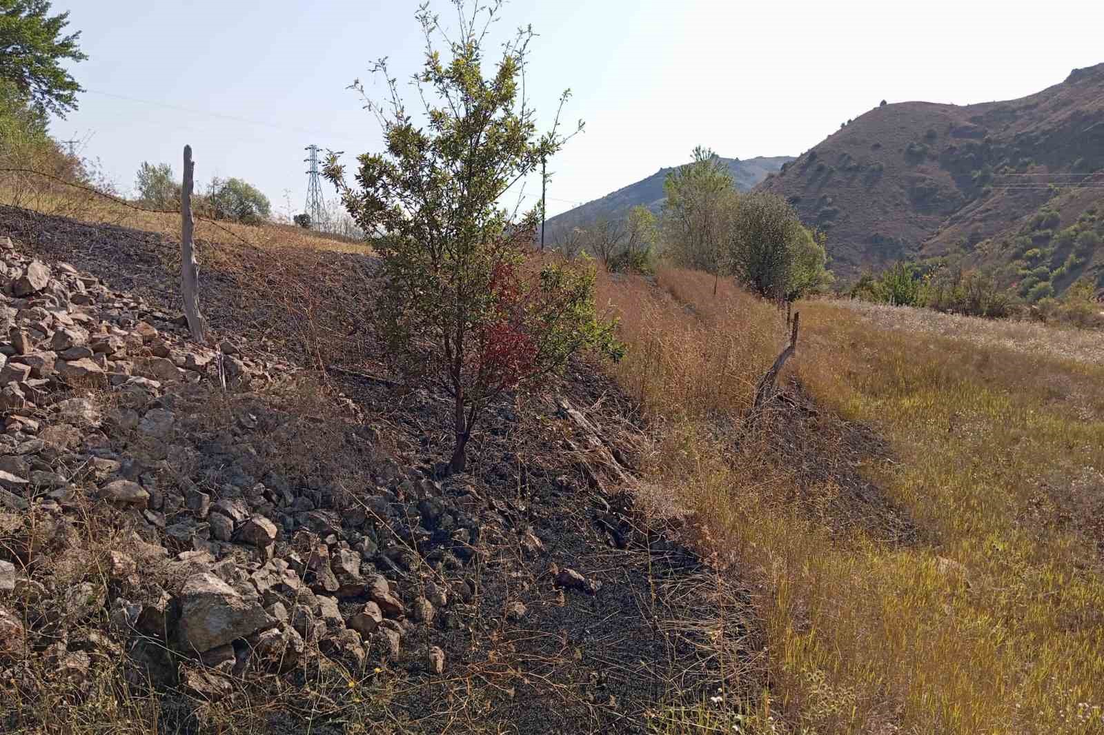 Gümüşhane İl Özel İdaresi ekipleri yangını önledi
