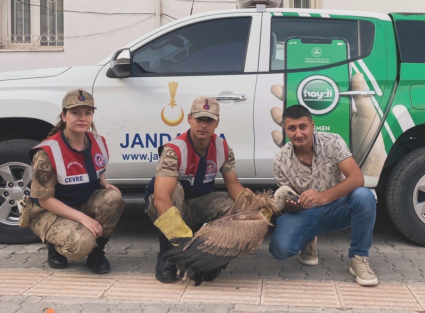 Jandarmadan yaralı akbabaya şefkat eli