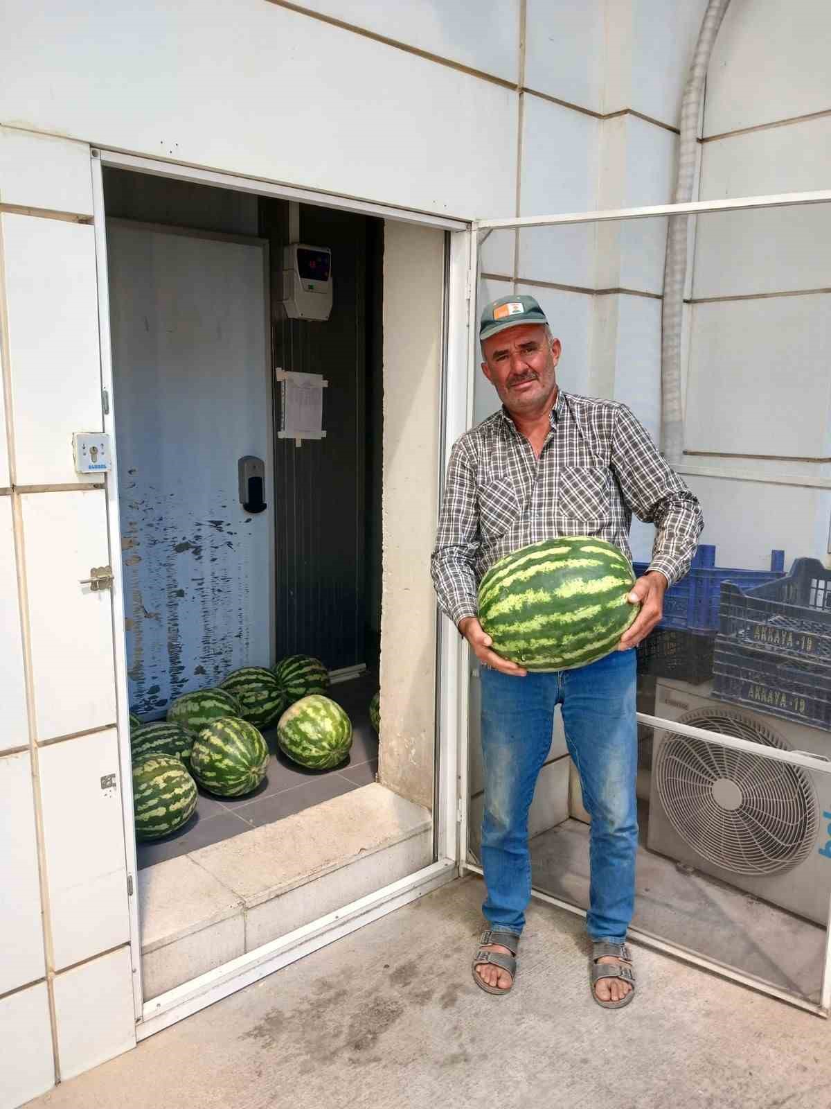 Muhtar tarlasında yetiştirdiği karpuzları huzurevi ve hastanede dağıttı
