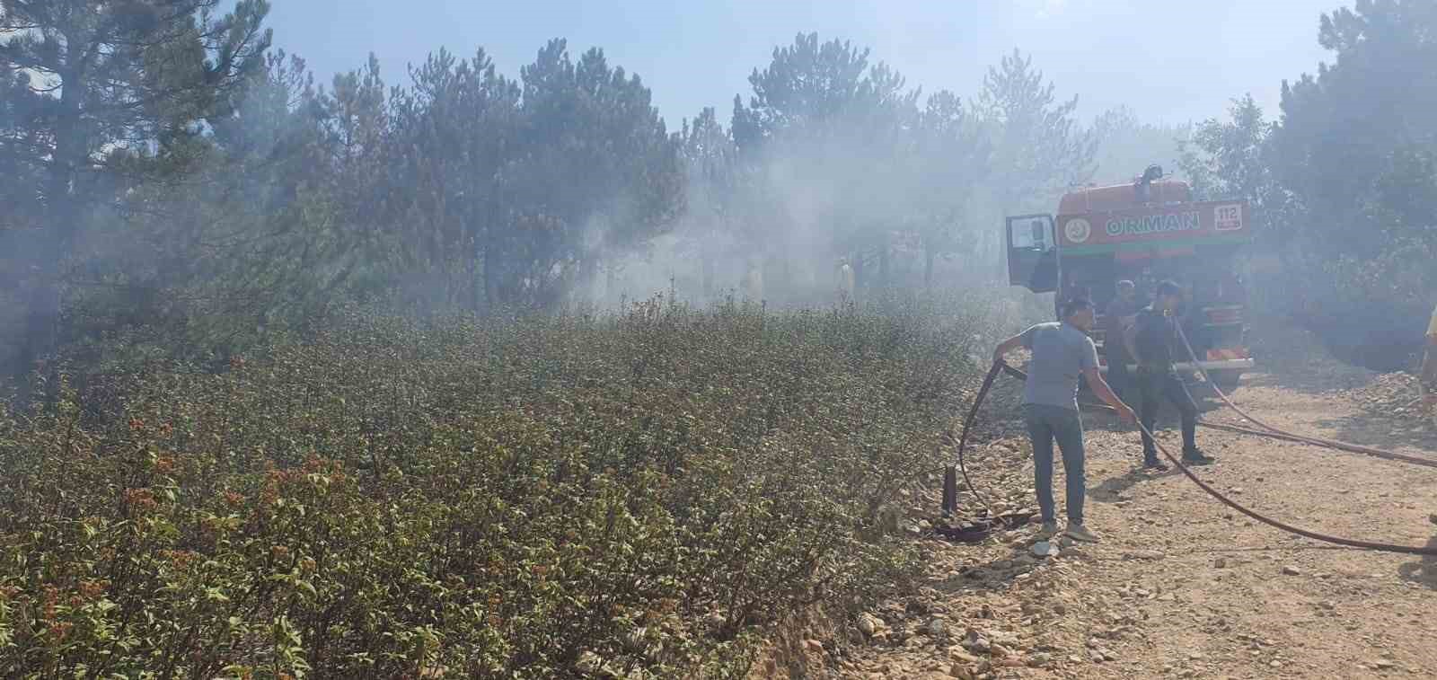 Afyonkarahisar Kırka’da orman yangını
