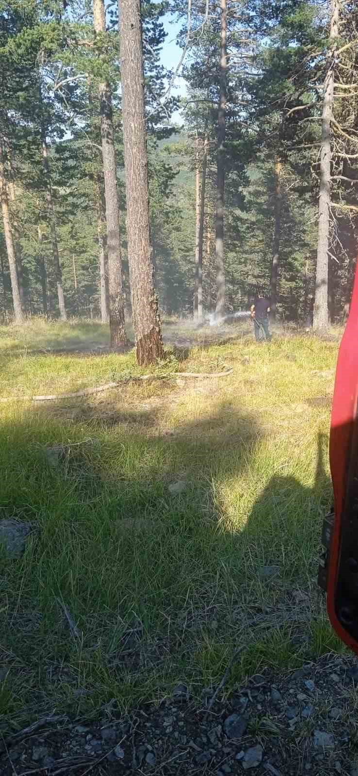 Bayat&rsquo;taki orman yangını b&uuml;y&uuml;meden s&ouml;nd&uuml;r&uuml;ld&uuml;
