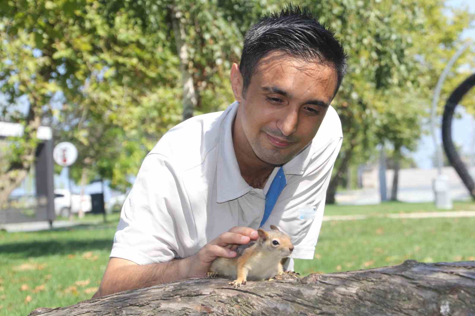 Bahçede bulduğu sincap en yakın arkadaşı oldu