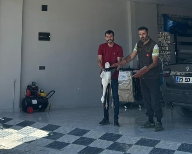 Bitkin halde bulunan leylek korumaya alındı
