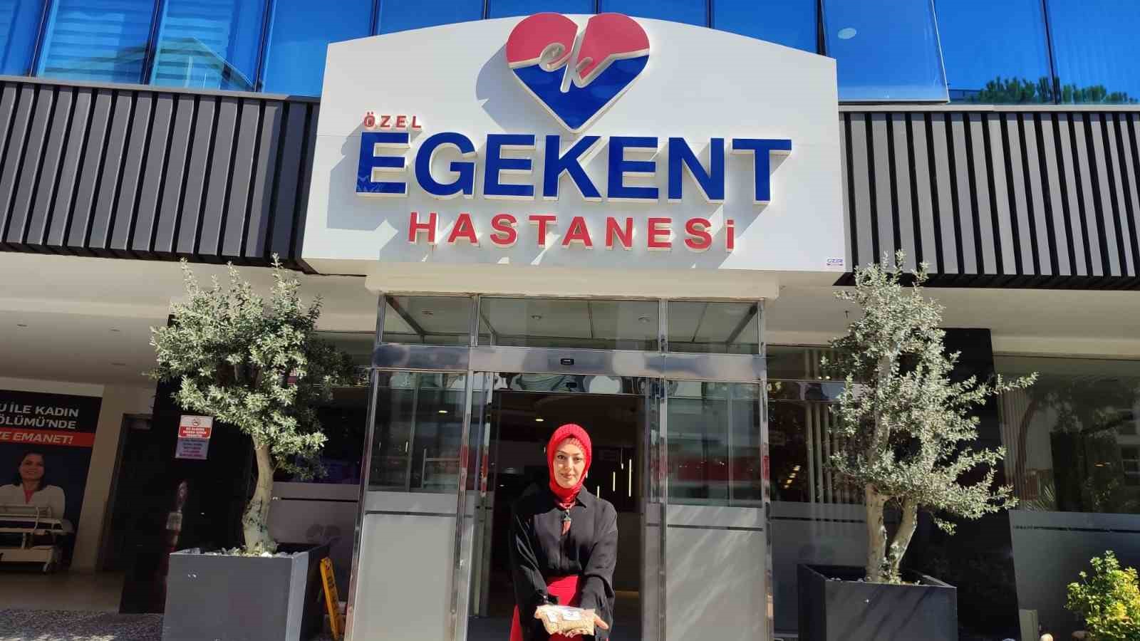 Cam kenarına bırakılan kırıntılar, kuşlar i&ccedil;in yeme d&ouml;n&uuml;şt&uuml;
