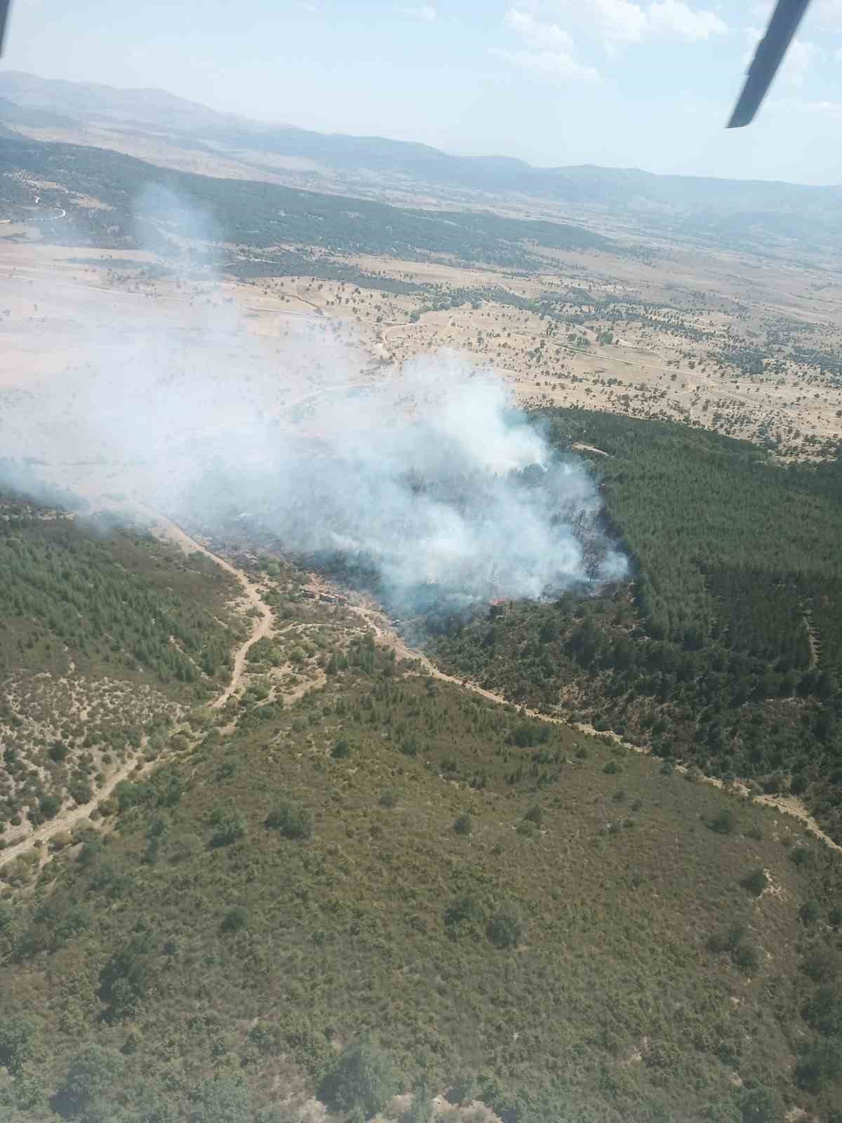 Afyonkarahisar’da ikinci orman yangını
