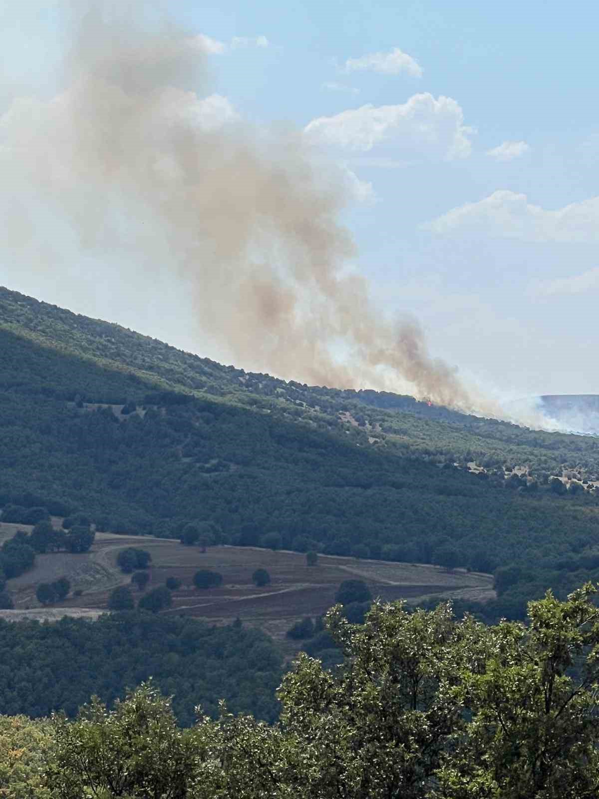 Anız yangını ormana sı&ccedil;radı: 20 hektarlık alan yandı
