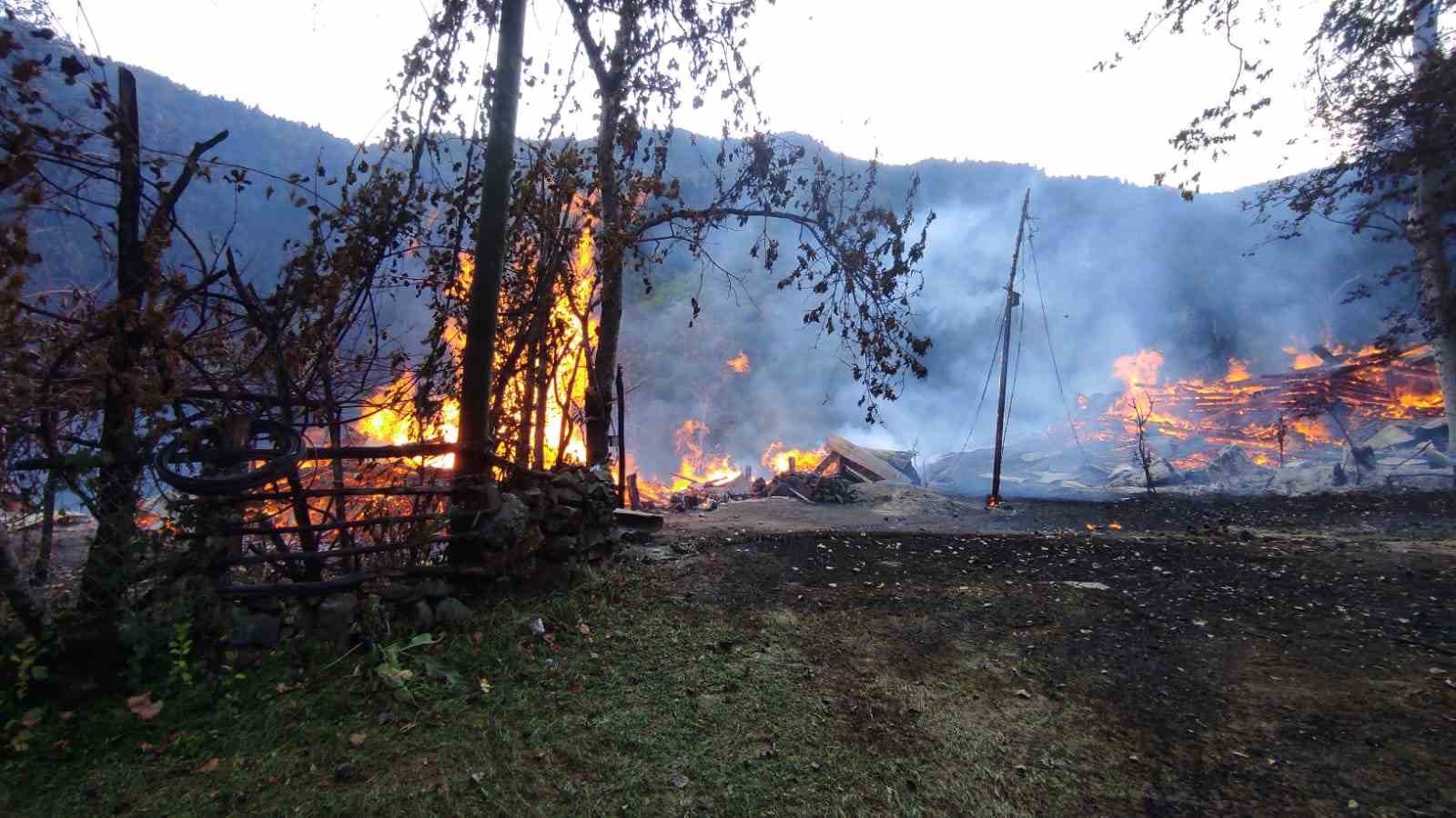Şavşat&rsquo;ta yangın: 3 ev kullanılamaz hale geldi 