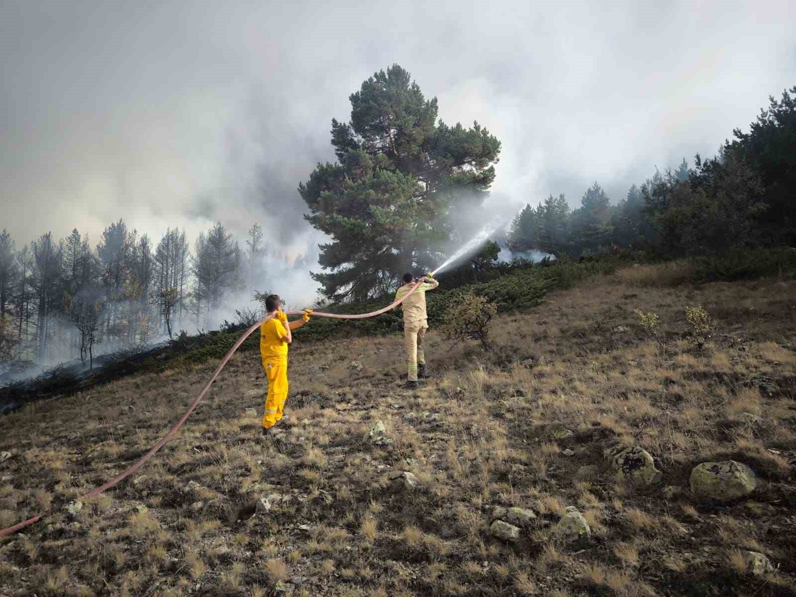 Ankara’dan Bolu’ya sıçrayan yangın 22 saat sonra kontrol altına alındı
