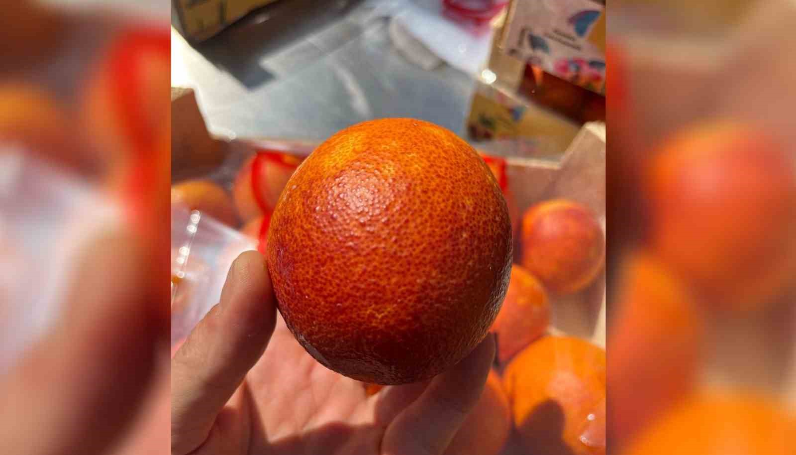 Moro cinsi &rsquo;Mersin kan portakalı&rsquo;nın coğrafi işaret tescili alındı
