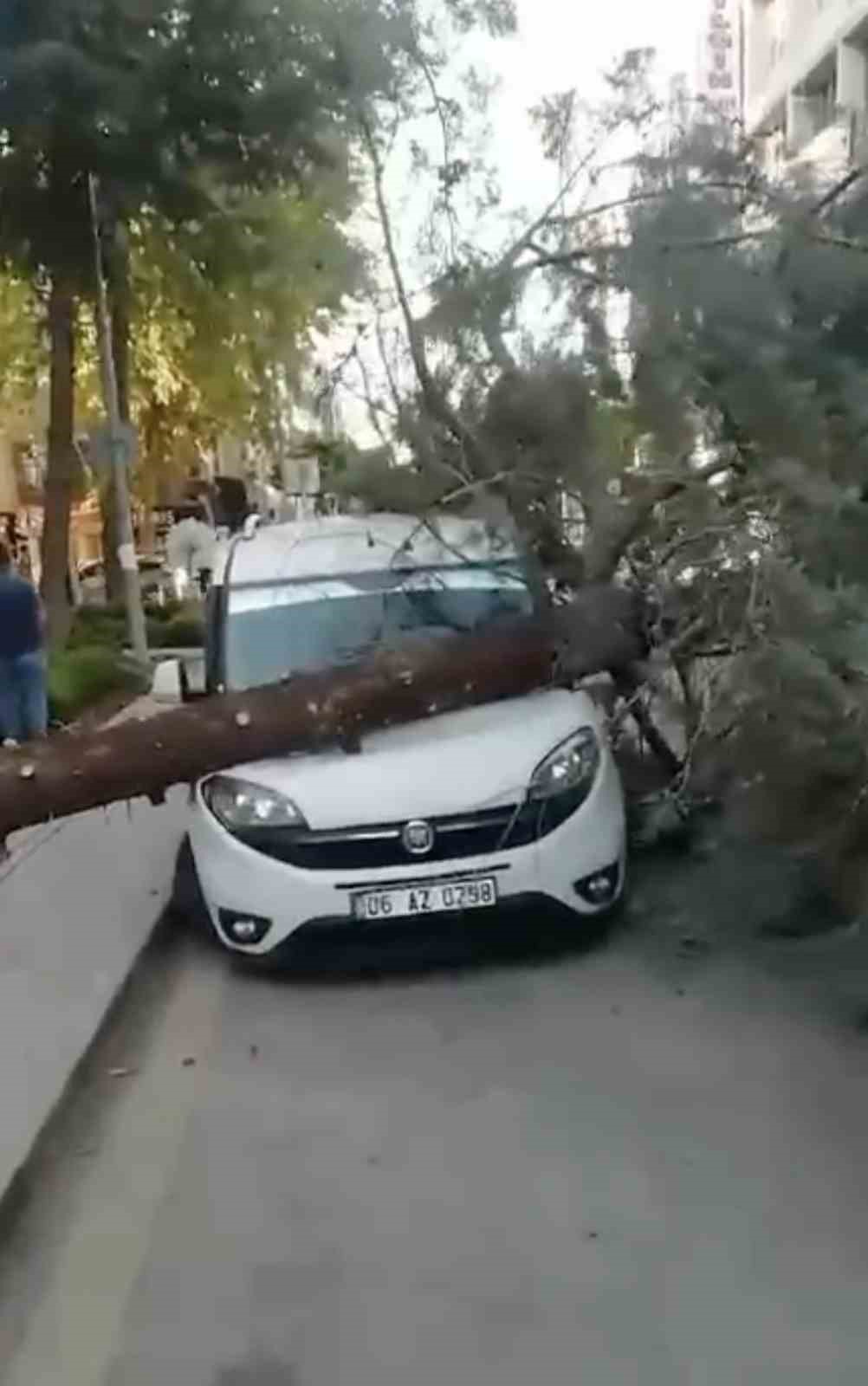 Park halindeki aracın &uuml;zerine ağa&ccedil; devrildi
