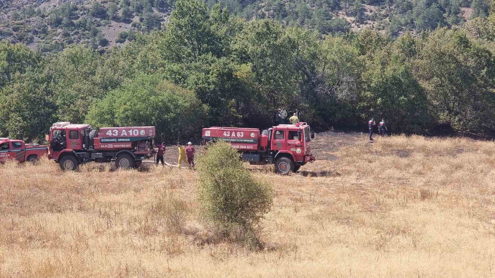 Domani&ccedil;&lsquo;te yıldırım d&uuml;şmesi sonucu yangın &ccedil;ıktı
