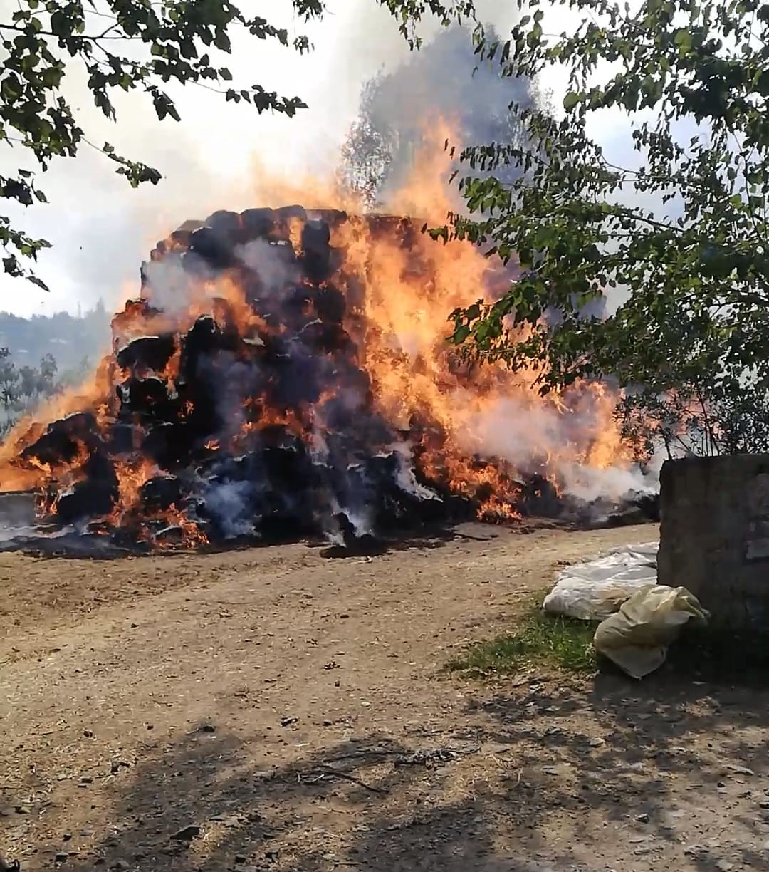 Ordu’da mandırada yangın
