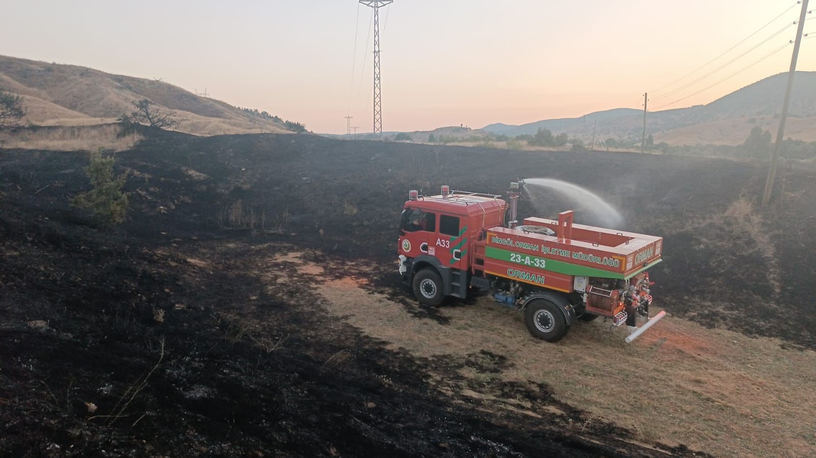 Bingöl’de iki bölgede çıkan orman yangını söndürüldü
