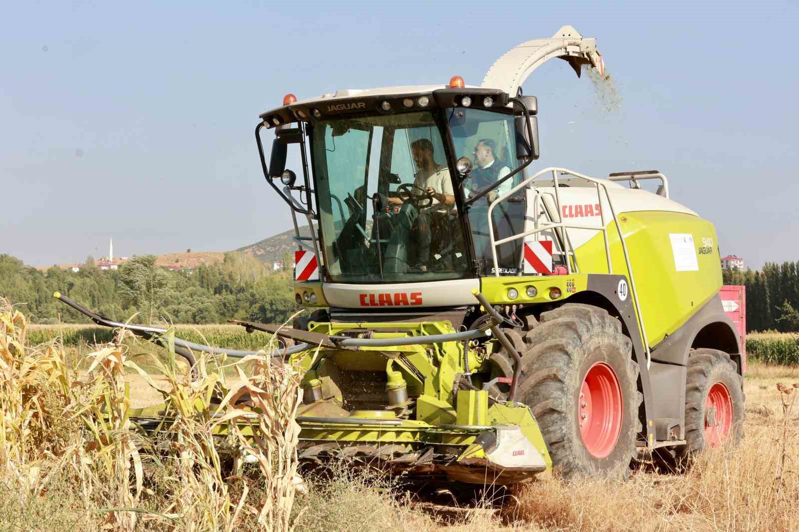 Devlet desteğiyle çiftçinin masrafı azaldı, silajlık mısır üretimi 128 bin tona ulaştı
