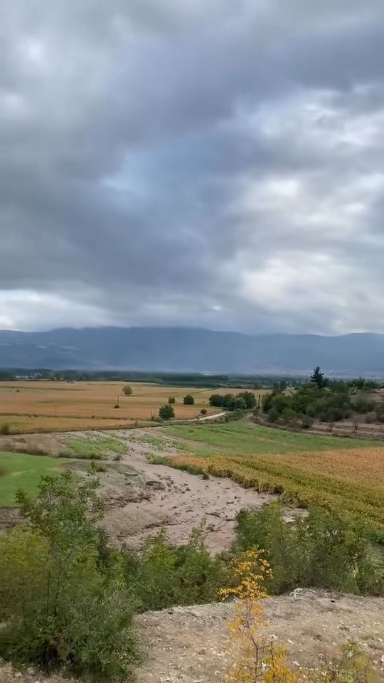 Su kanalı patladı, tarım arazileri su altında kaldı
