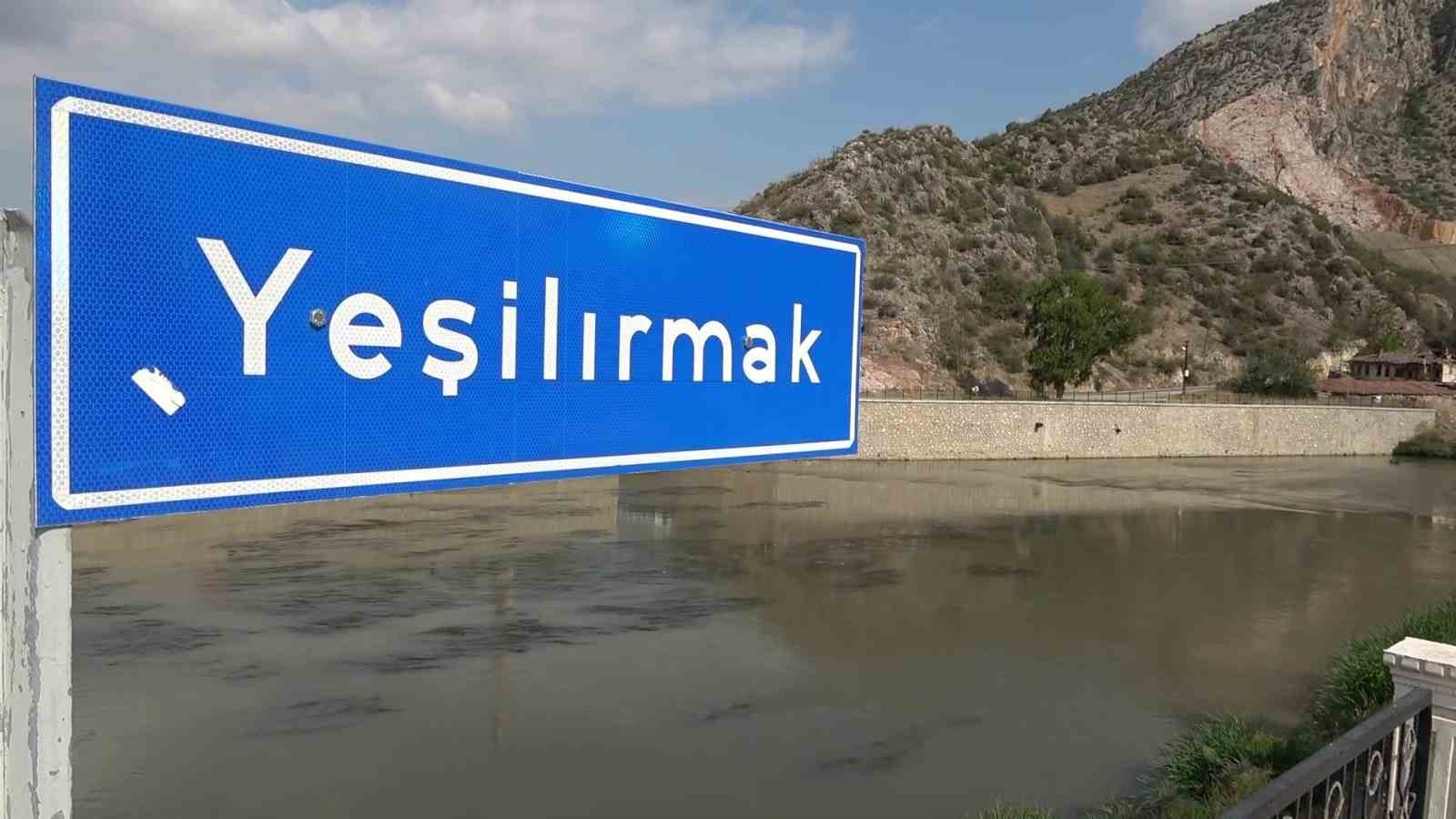 Yeşilırmak’ta toplu balık ölümleri
