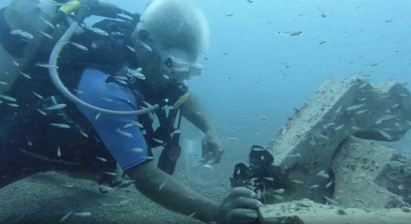 Denize atılan plastik şişede sıkışan orfoz balığını dalış yapan profesör kurtardı
