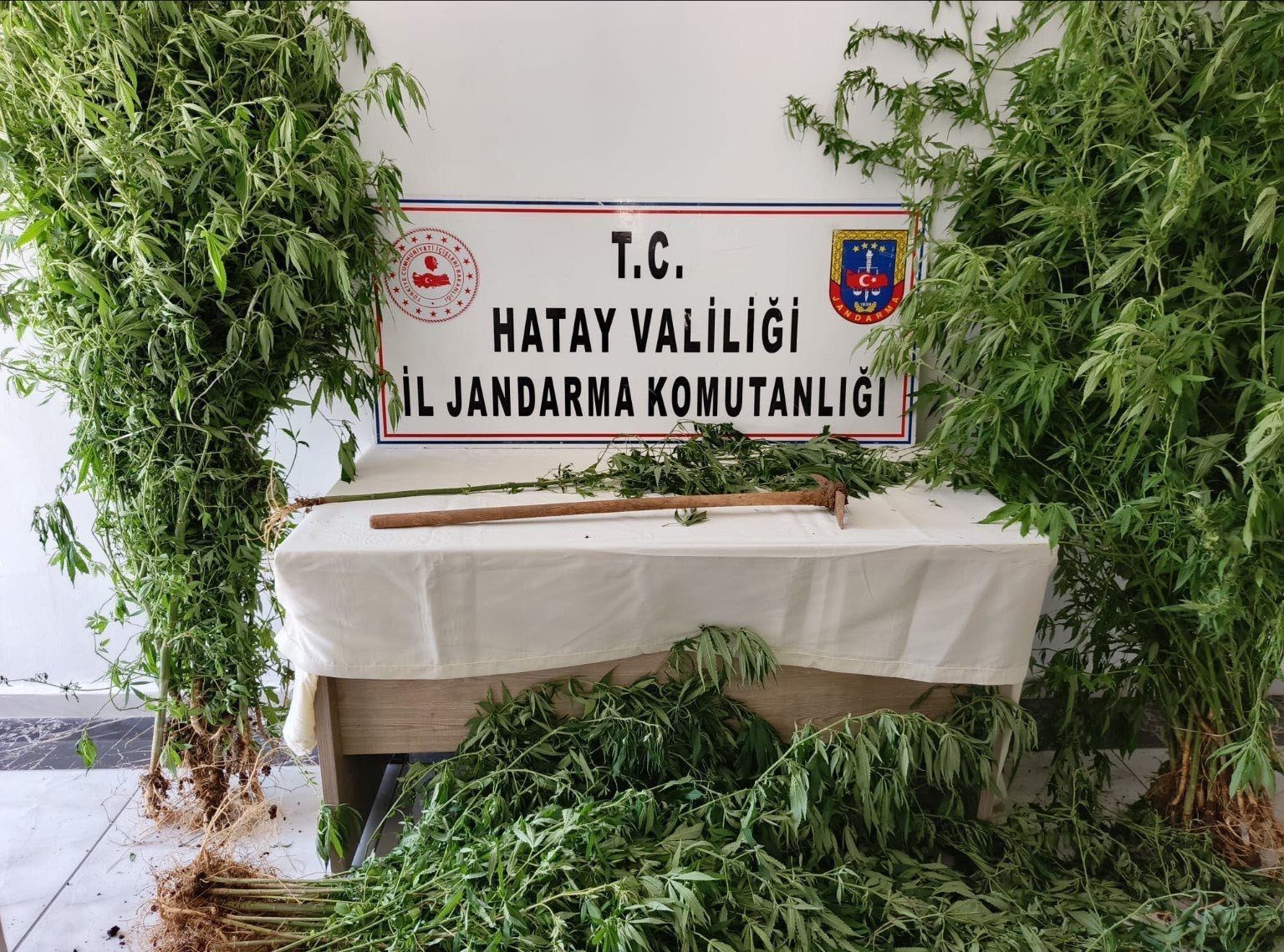 Hatay’da 4 kilo esrar ve 5 ruhsatsız tabanca ele geçirildi
