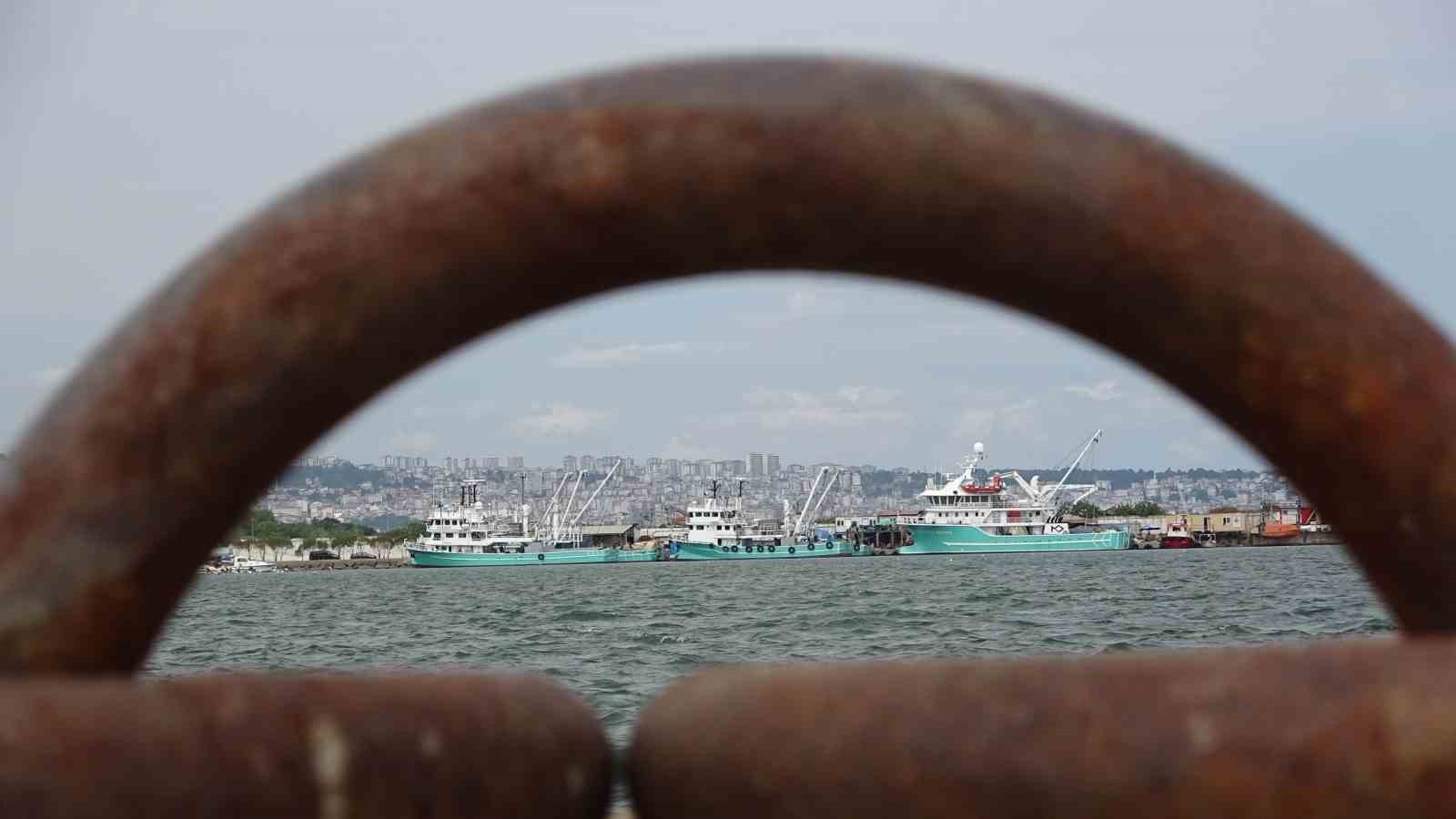 Balıkçıların ’hamsi kotası’ endişesi: &quot;Altınla yarışacak&quot;