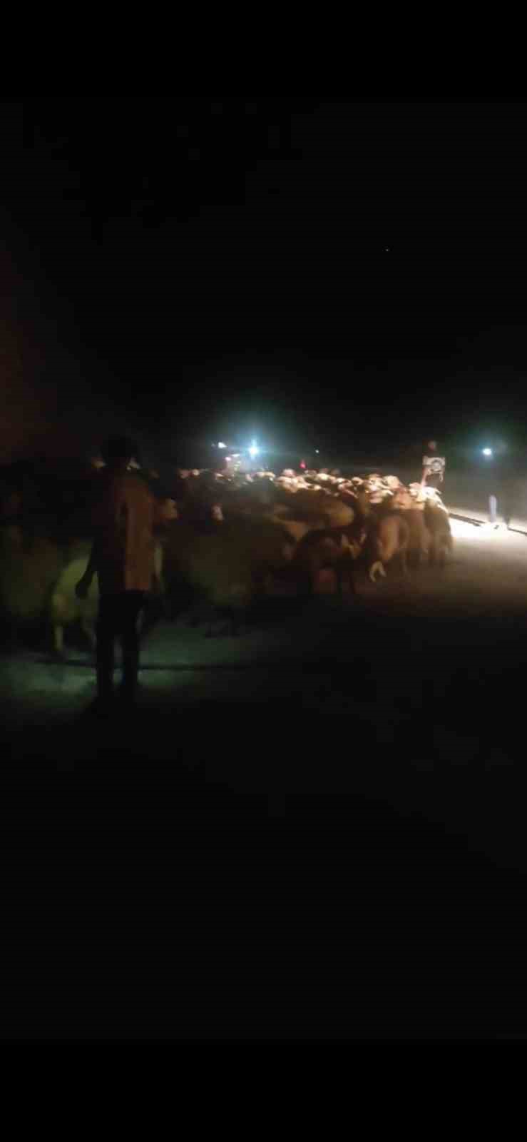 Tatvan&rsquo;da tır devrildi: 63 koyun telef oldu
