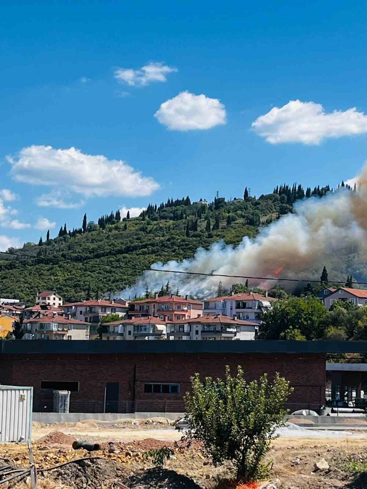 Ağaçlık alanda çıkan yangında itfaiye eri kaplumbağayı yanmaktan böyle kurtardı
