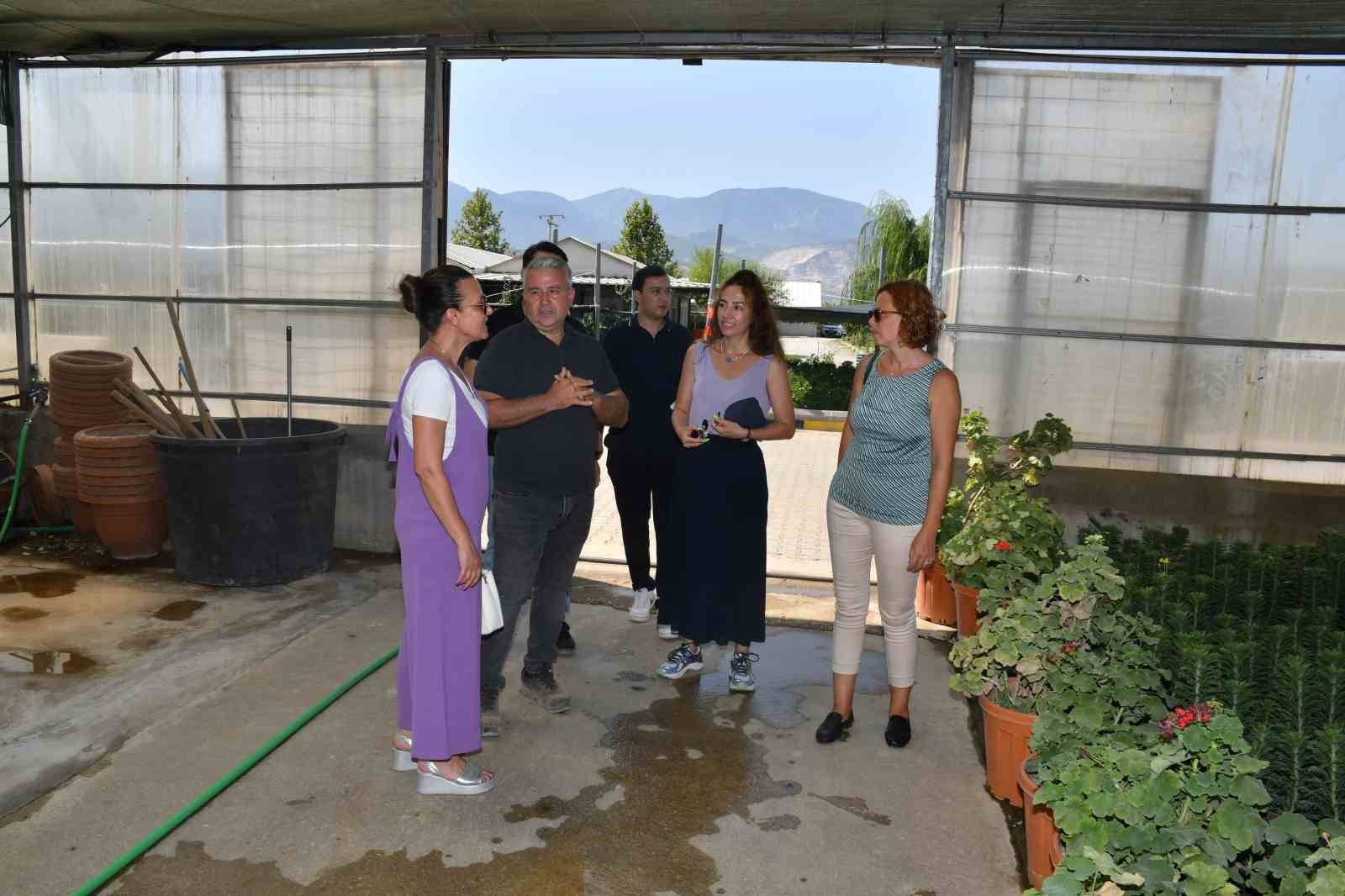 B&uuml;y&uuml;kşehirin serasında &uuml;retim devam ediyor
