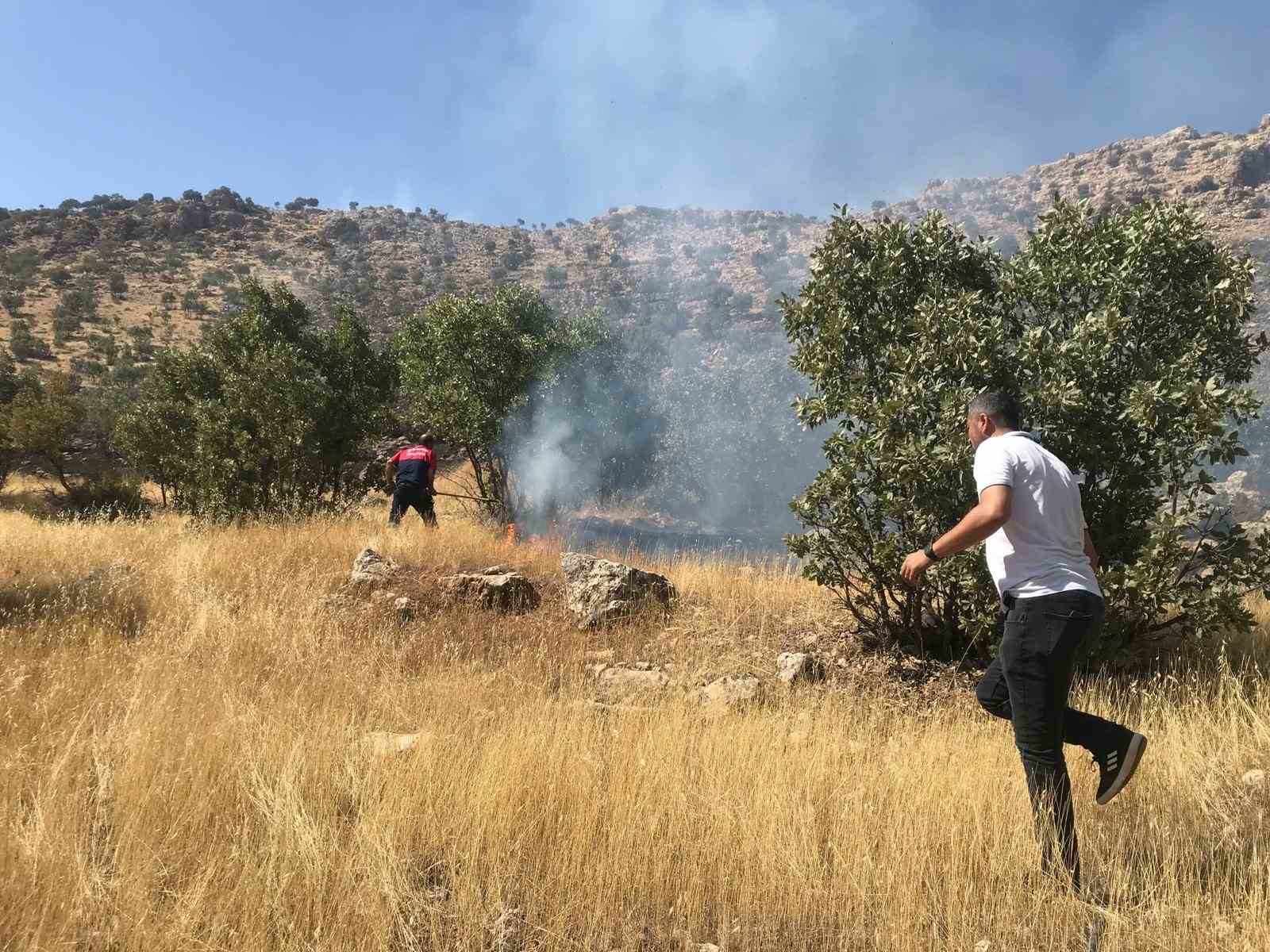 Mardin’de ormanlık alanda çıkan yangın söndürüldü
