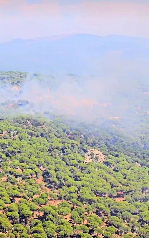 Bergama’da orman yangını
