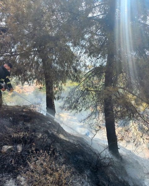 Antakya’da örtü yangını
