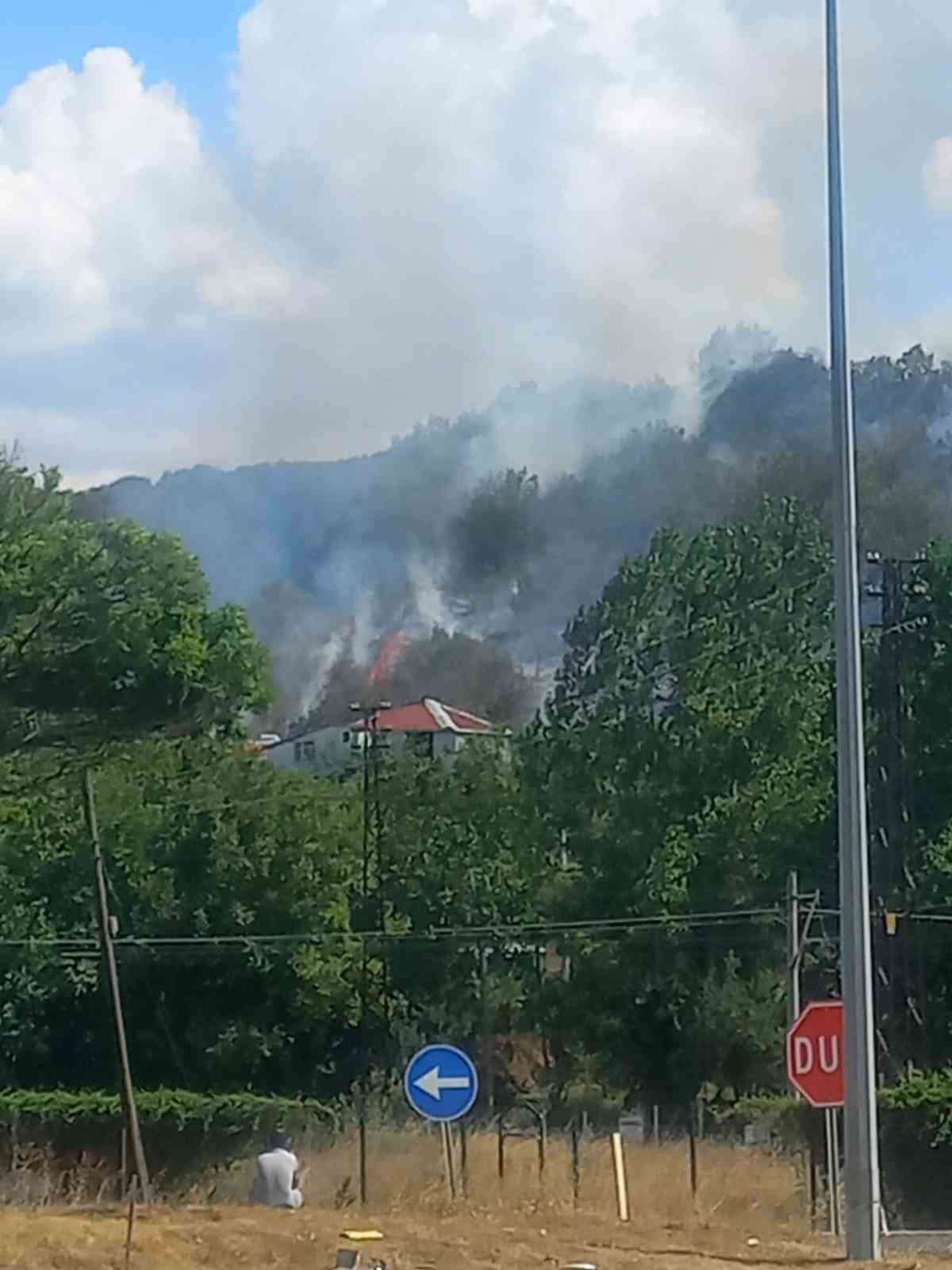 Bilecik&rsquo;te &ccedil;ıkan otluk yangını kontrol altına alındı
