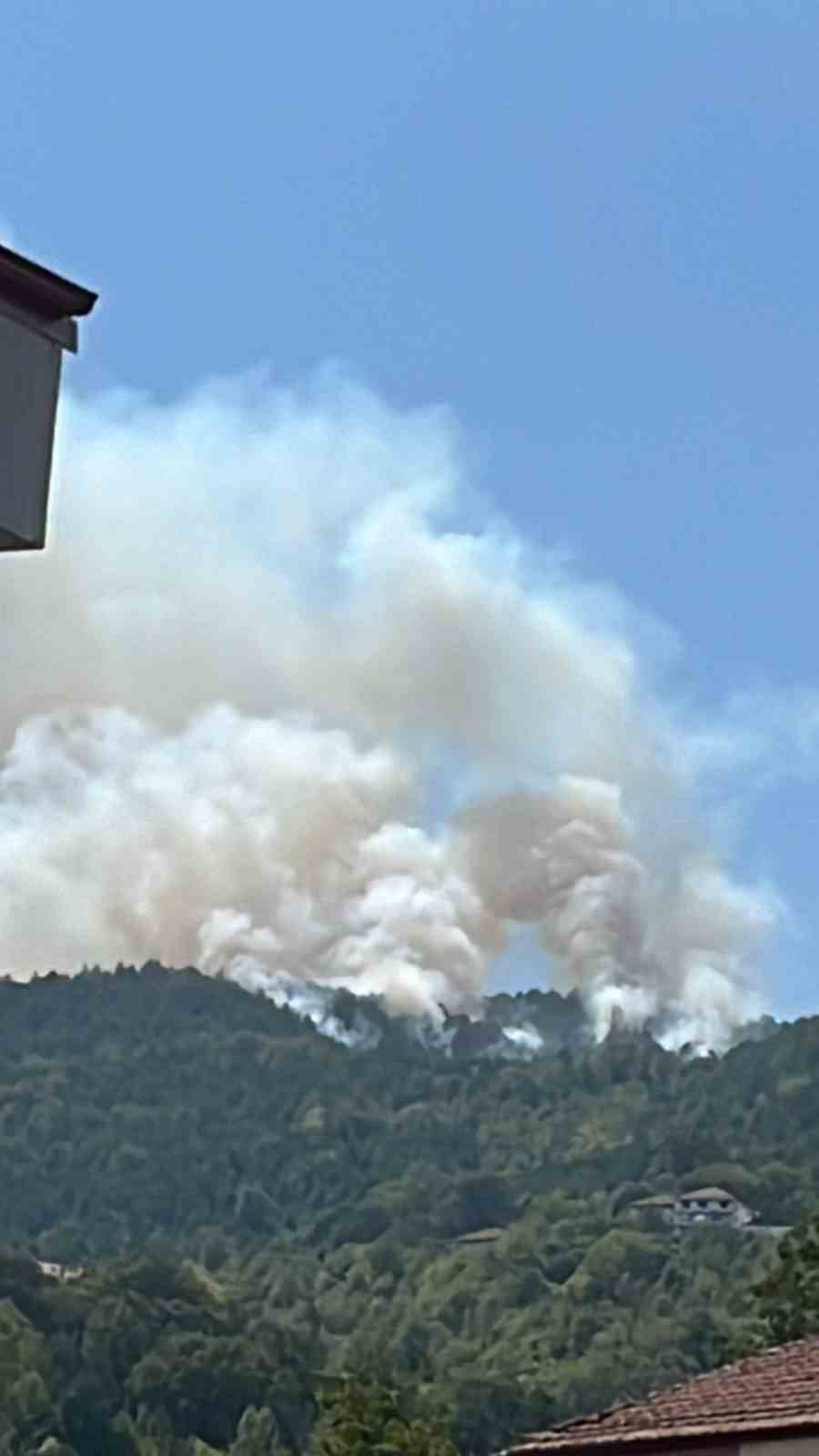Zonguldak&rsquo;ta orman yangını
