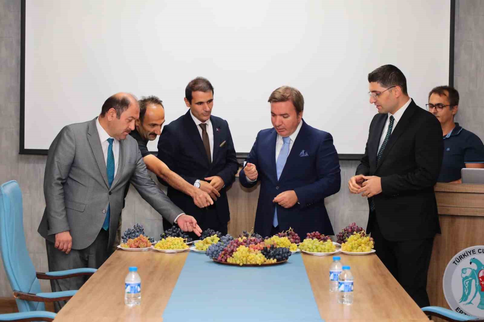 &Uuml;z&uuml;m&uuml;yle meşhur Erzincan&rsquo;da yeni &uuml;z&uuml;m &ccedil;eşitleri yetiştirilecek
