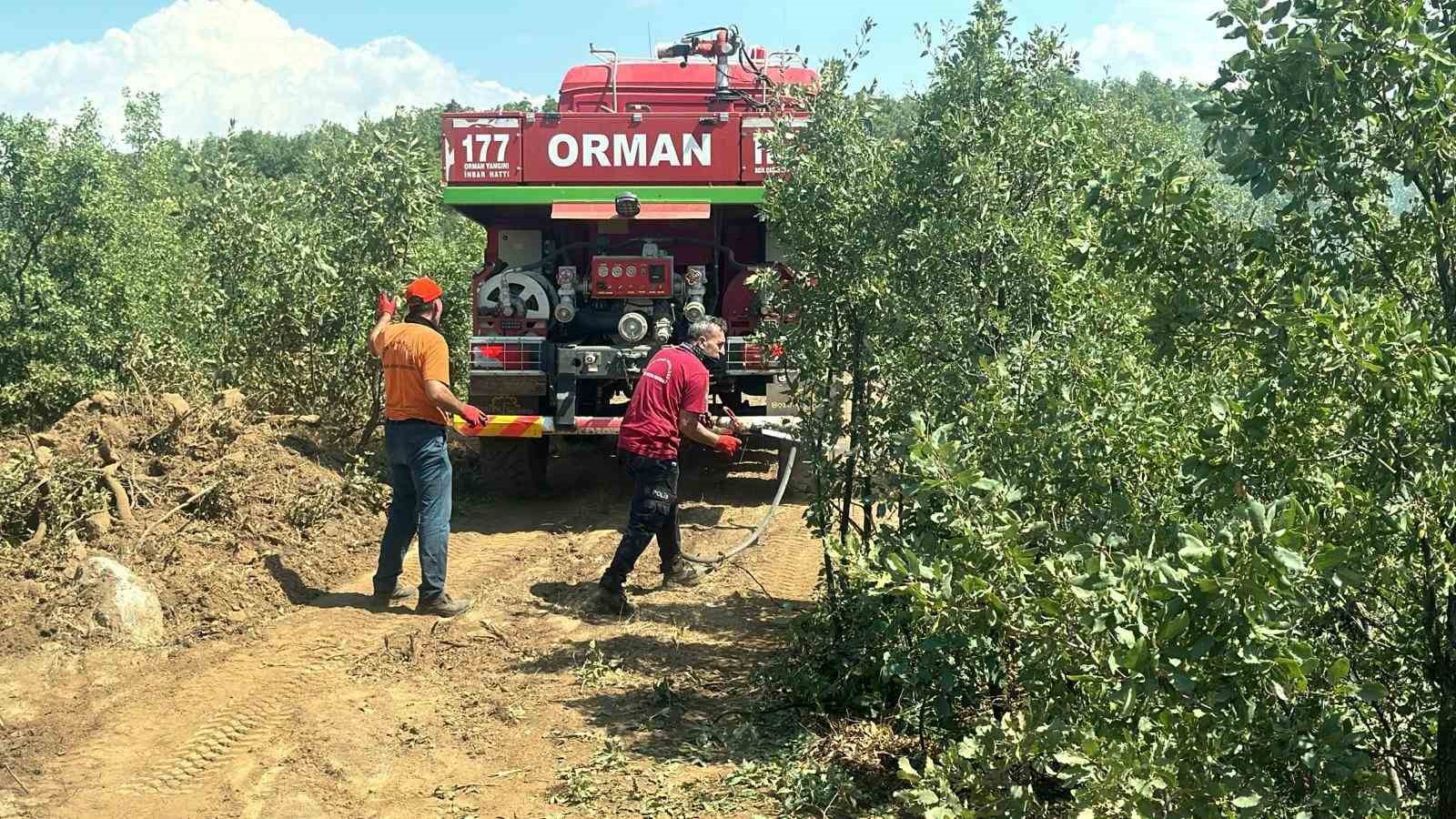 Bingöl’deki orman yangını erken müdahaleyle büyümeden söndürüldü