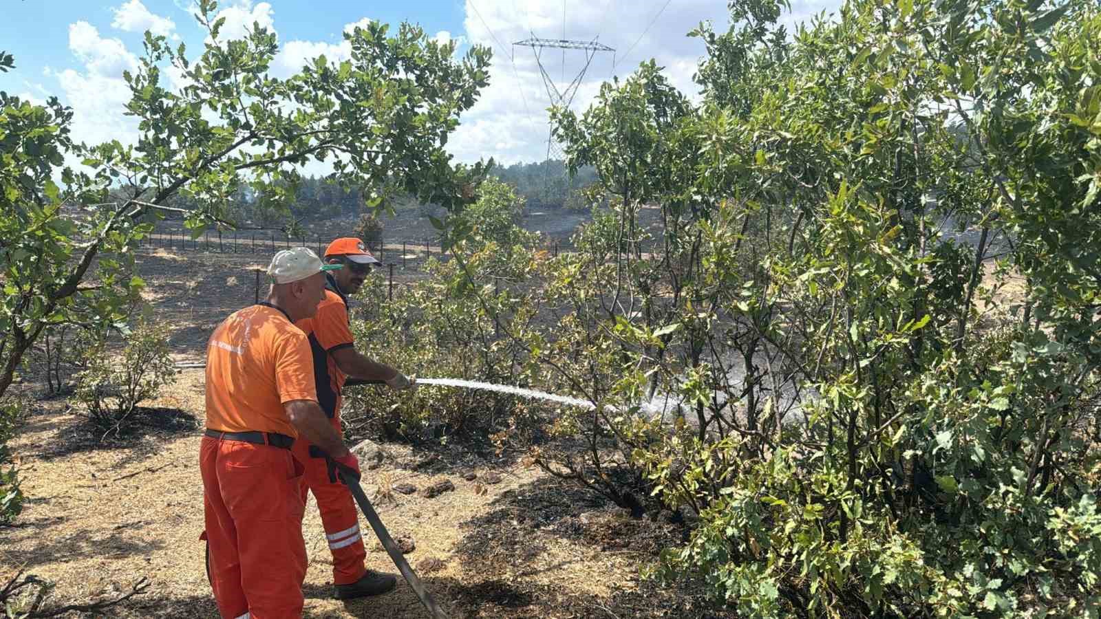 Bingöl’deki orman yangını erken müdahaleyle büyümeden söndürüldü
