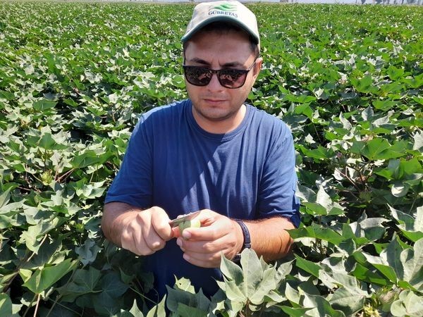 S&ouml;ke&rsquo;de dikenli kurt pop&uuml;lasyonunda artış tespit edildi
