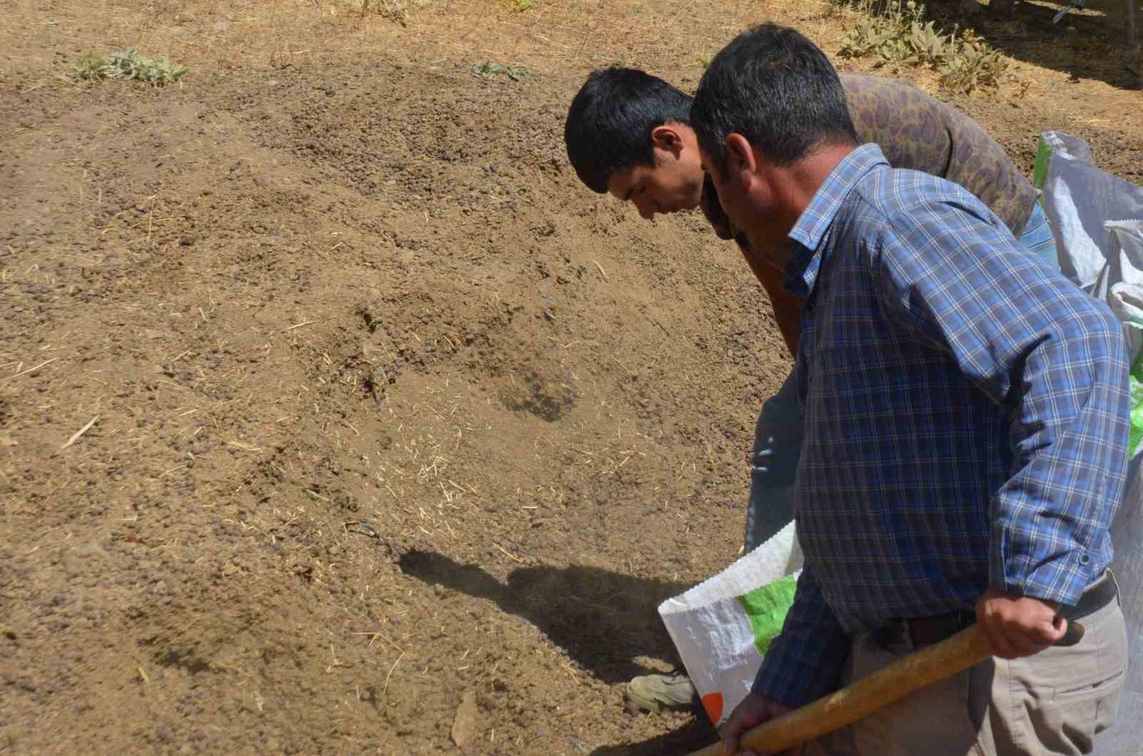 Hayvan yetiştiricilerinin yeni gelir kapısı gübre satışı