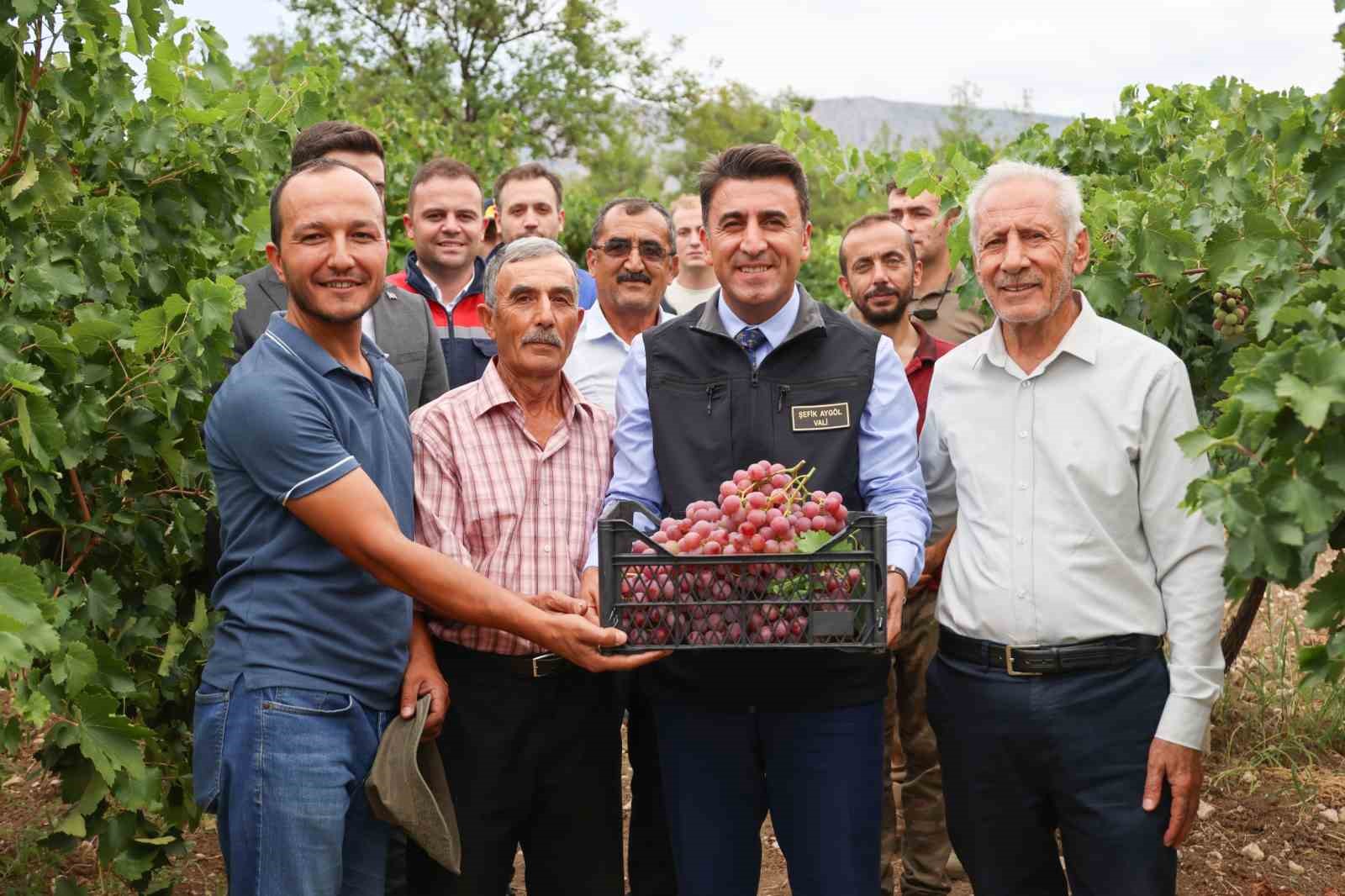 Bilecik&rsquo;te &uuml;z&uuml;m hasadı başladı
